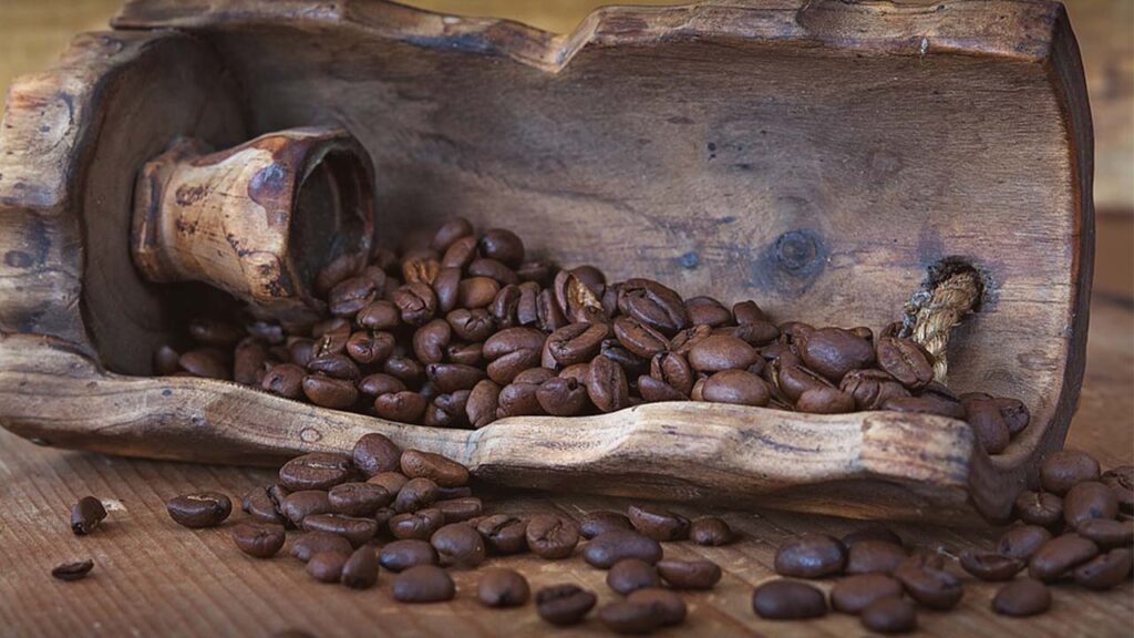 Types of Coffee Beans and Characteristics