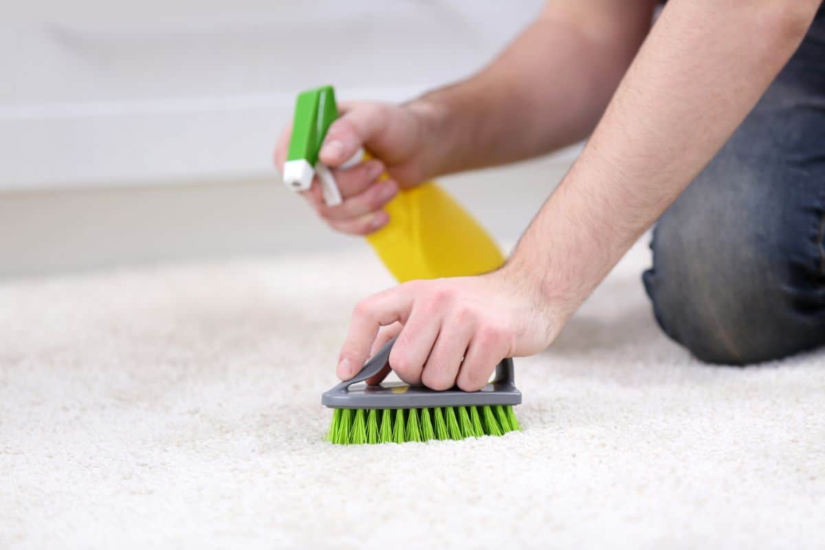 how-to-get-ash-out-of-carpet-oasys-water